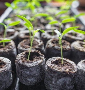 Таблетирование торфа: назначение, технология, преимущества и недостатки