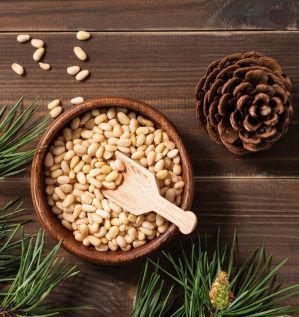 Коллоидная мельница для кедрового ореха