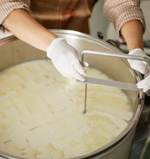 Производство сыра Тофу – как идея для бизнеса