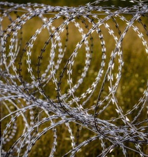 Колючая проволока «Егоза» – как идея для бизнеса