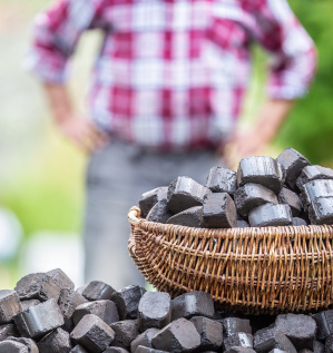 Производство древесноугольных брикетов: сырьё, технология и свойства продукции