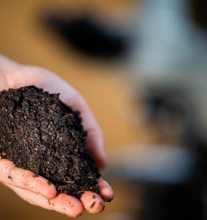 Производство грибного компоста: рецепты, технологии, инновации