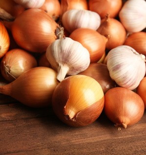 Обработка лука и чеснока для хранения или продажи. Обзор оборудования.