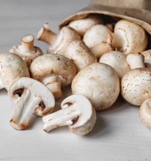 Про оборудование для профессионального выращивания шампиньонов: полезные решения и современные технологии 