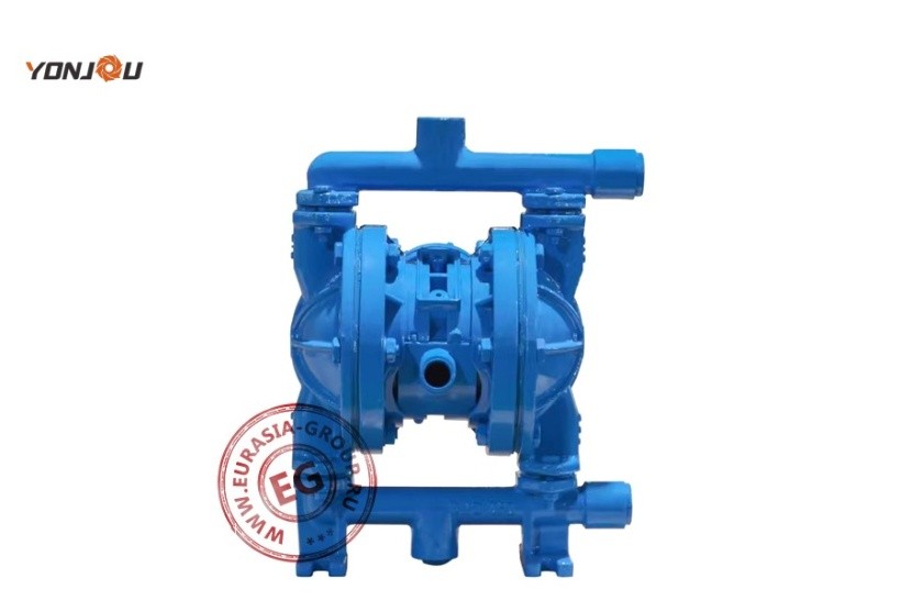 Мембранный насос QBK15S6F46