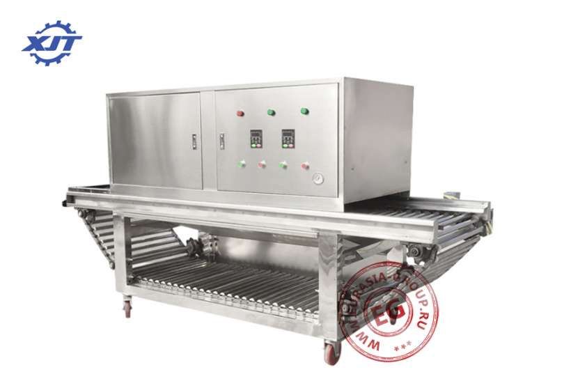 Станок для очистки лука от шилухи XJT-YCTP1000