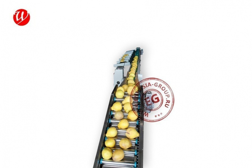 Компьютеризированная сортировочная линия для сортировки овощей и фруктов