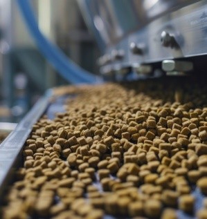 Производство кормов для домашних животных, как идея для бизнеса.