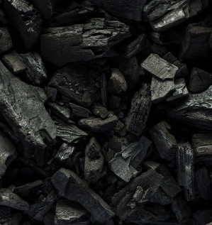 Производство древесного угля – как идея для бизнеса.