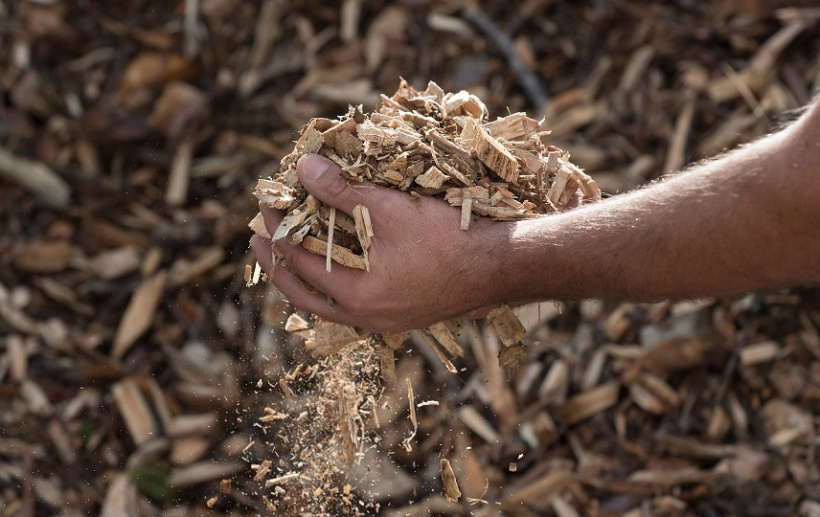 Отходы в доходы #1. Вторичная переработка древесины: виды готовой продукции и обзор оборудования