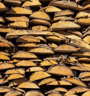 Переработка горбыля: технологии, виды продукции, обзор оборудования