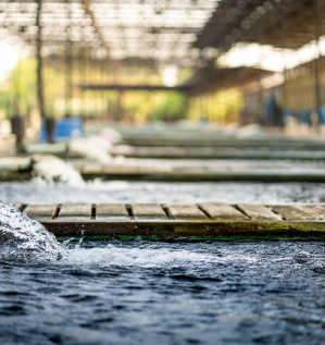 Доставка промышленного теплового насоса для бассейнов