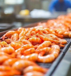 Переработка рыбы и морепродуктов – как идея для бизнеса.